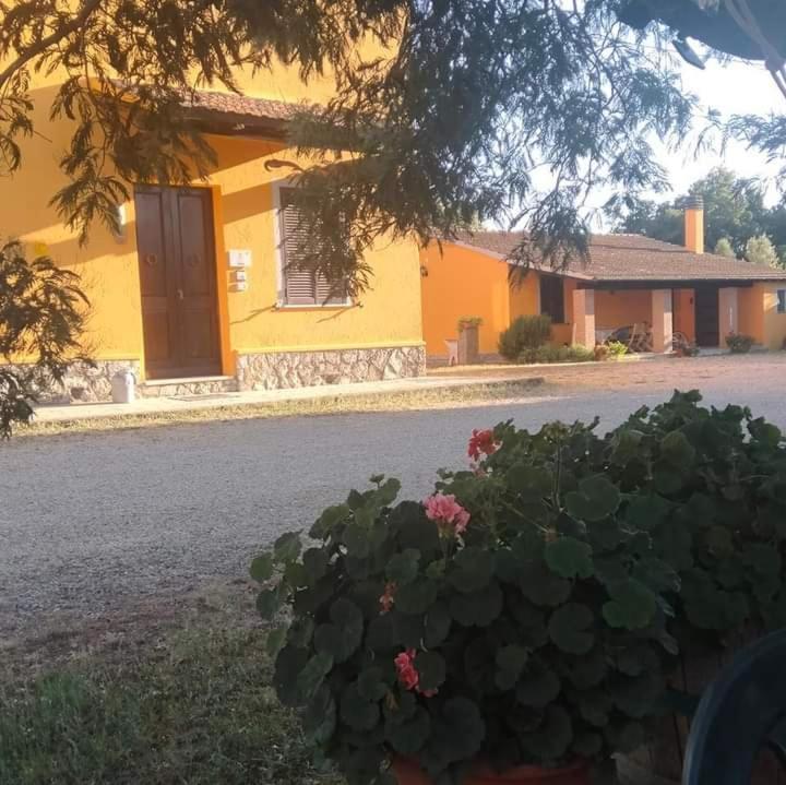 Agriturismo Da Remo マリアーノ・イン・トスカーナ エクステリア 写真