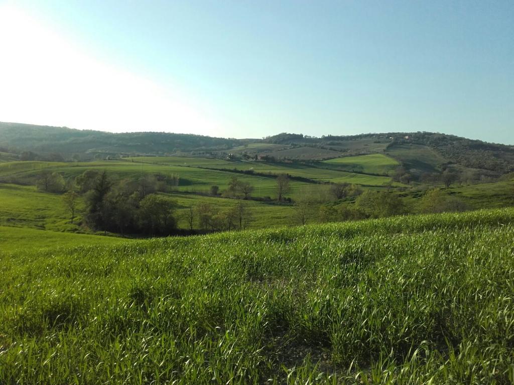 Agriturismo Da Remo マリアーノ・イン・トスカーナ エクステリア 写真