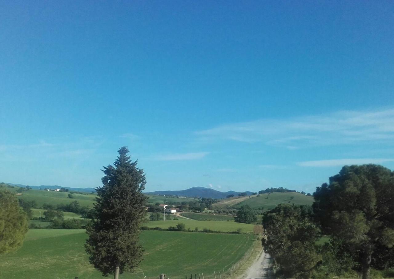 Agriturismo Da Remo マリアーノ・イン・トスカーナ エクステリア 写真