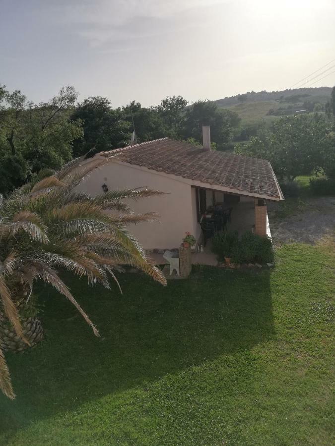 Agriturismo Da Remo マリアーノ・イン・トスカーナ エクステリア 写真